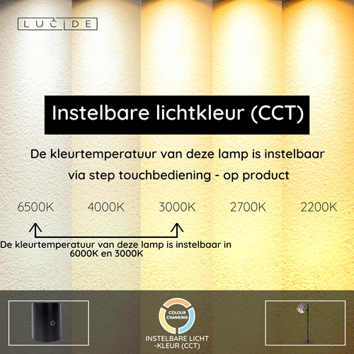 Lucide SKANSKA RECH - Oplaadbare Bureaulamp Binnen/Buiten - Accu/Batterij - LED Dimb. - CCT - 1x3W 3000K/6000K - IP44 - Grijs ijzer - USP